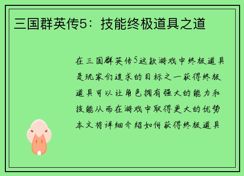 三国群英传5：技能终极道具之道